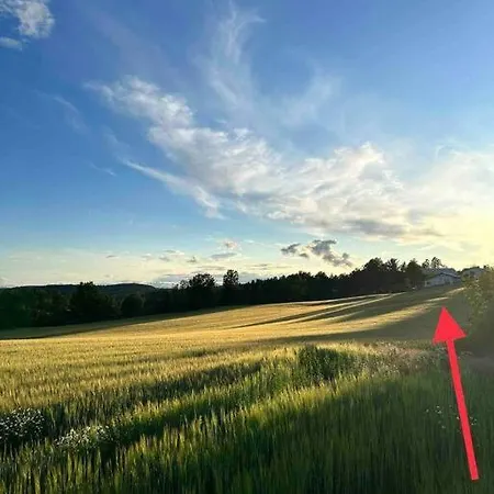 Gezellig Met Mooi Uitzicht Holmestrand